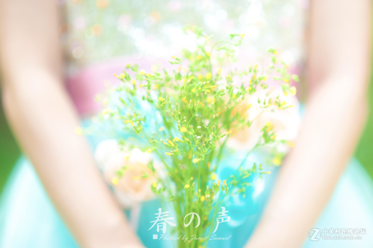 春之声——大型唯美人像拍摄活动