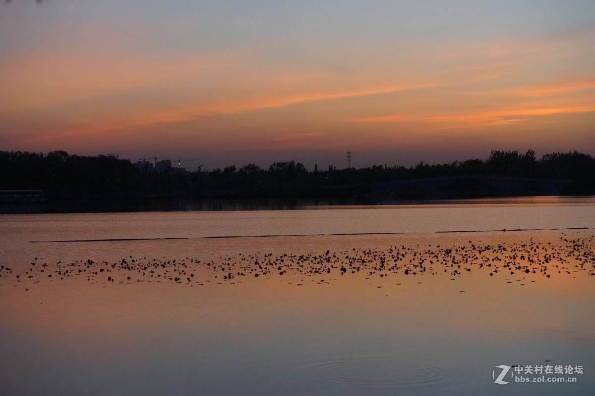 夜暮下的南海子效野公园