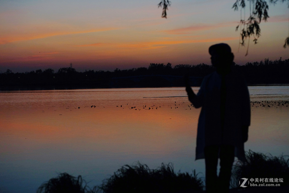 夜暮下的南海子效野公园