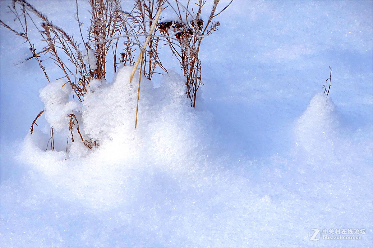 【 乌鲁木齐的冬天 （2016-2017） 】（9） ——洁白的雪