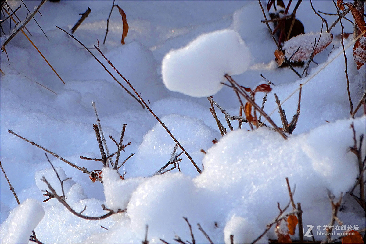 【 乌鲁木齐的冬天 （2016-2017） 】（9） ——洁白的雪