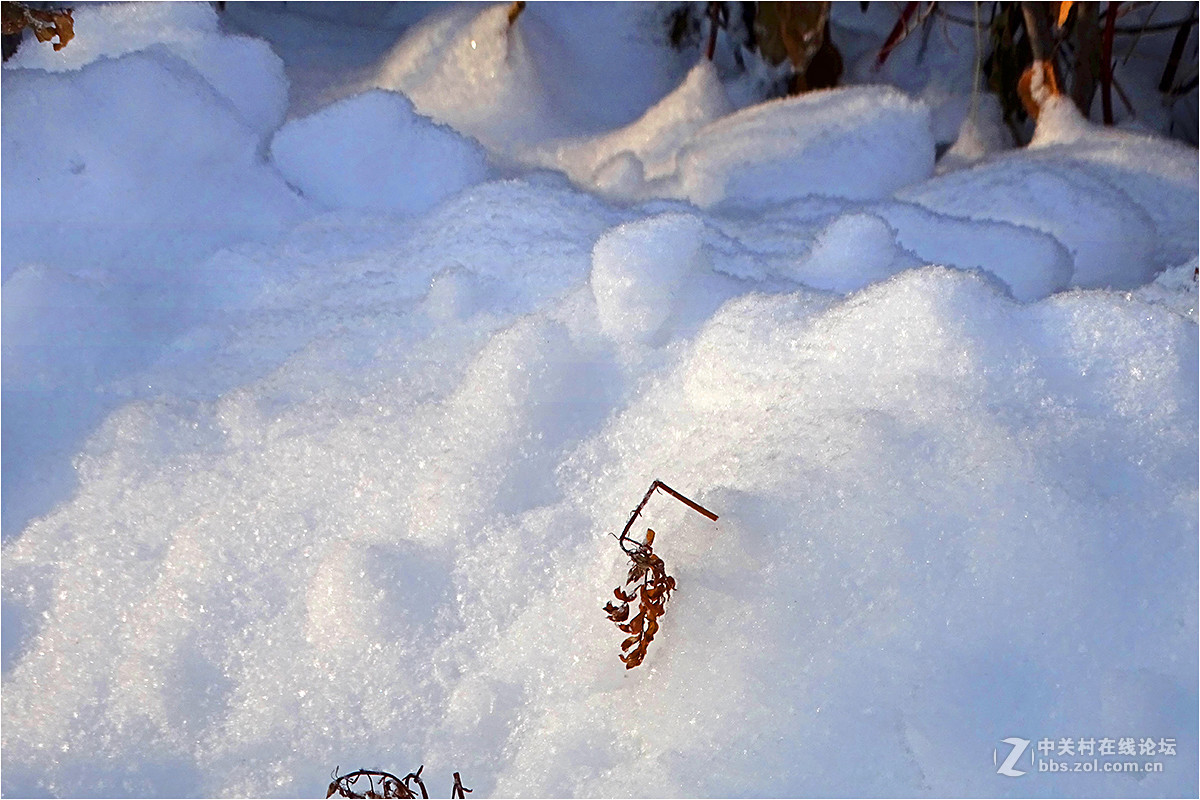 【 乌鲁木齐的冬天 （2016-2017） 】（9） ——洁白的雪