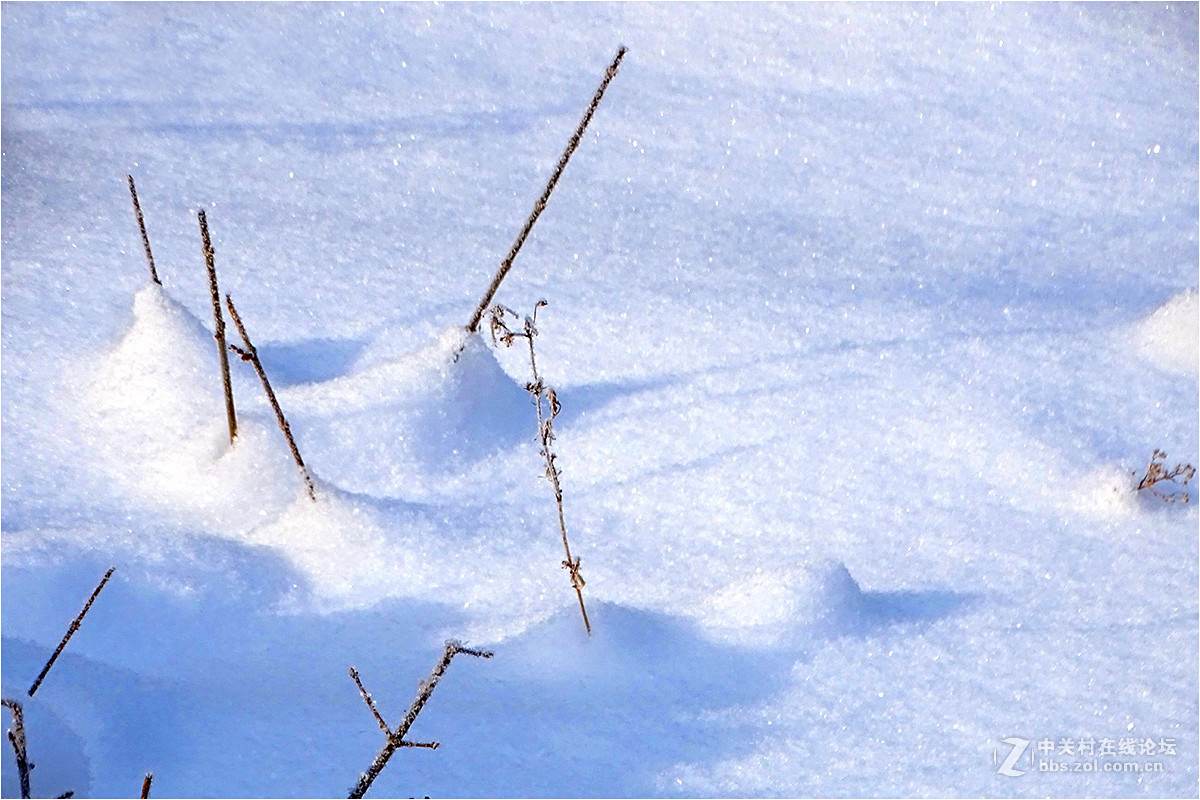 【 乌鲁木齐的冬天 （2016-2017） 】（9） ——洁白的雪