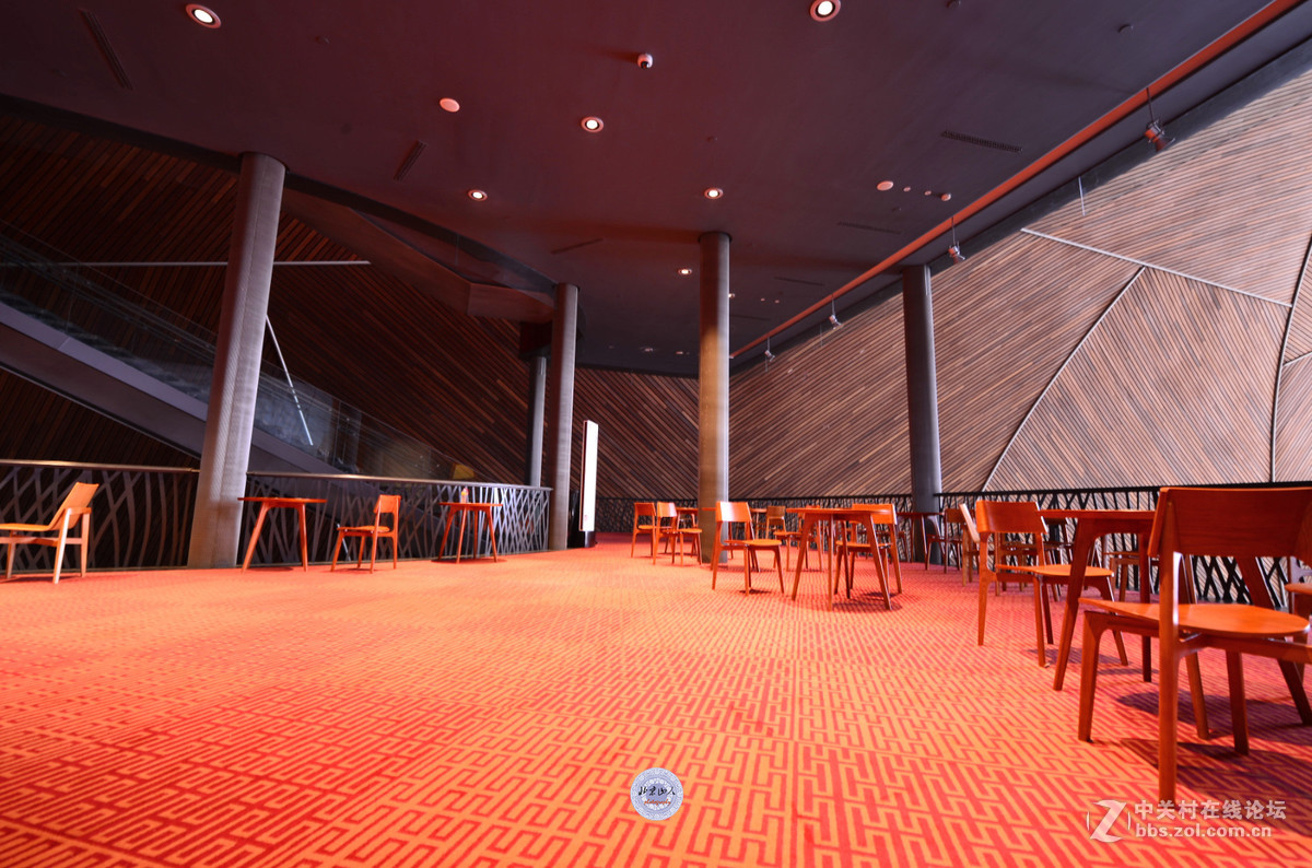 国家大剧院 建筑曲线美 【21P】 北京山人摄影