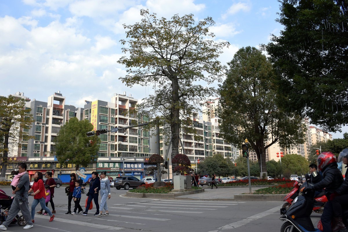 2018春节 闽粤赣（83）粤东北  和平县