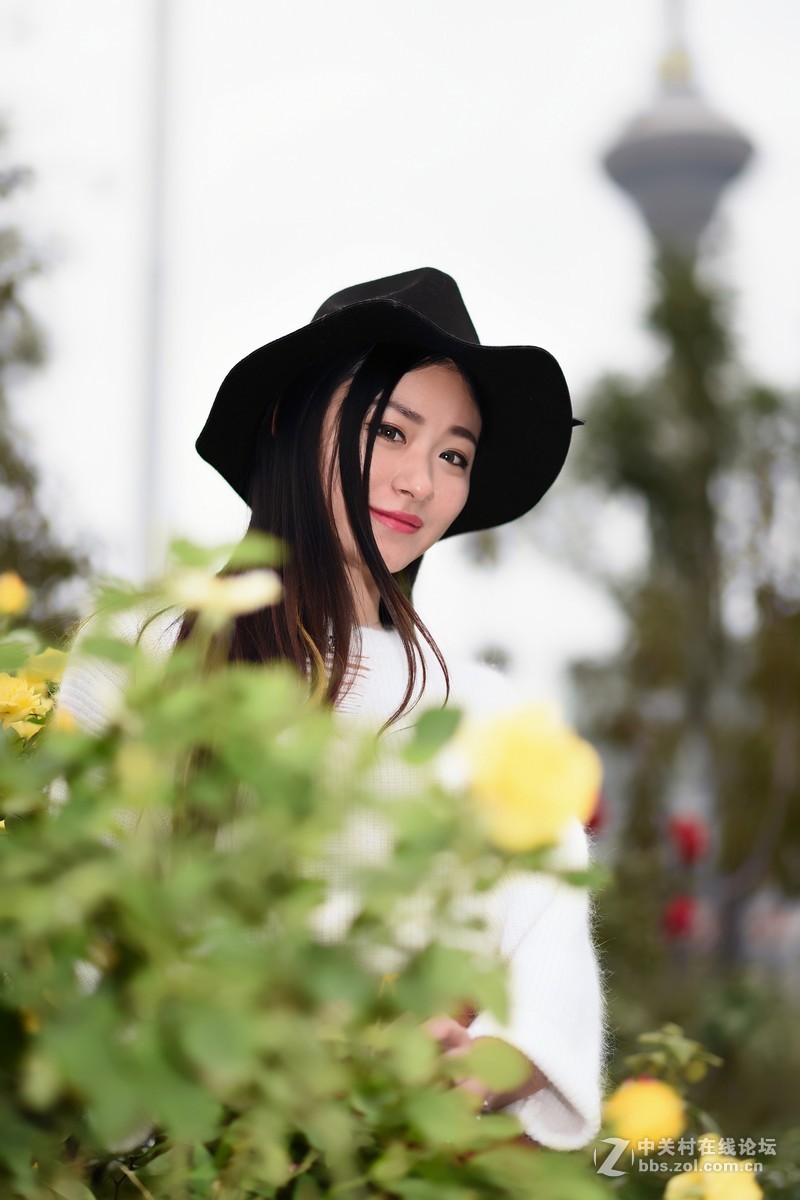 #版主坐堂#【天津版块】2015年10月金、银钻精华汇总（下）