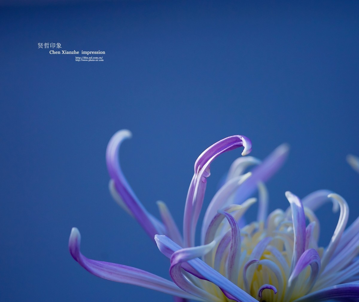 #版主坐堂#【天津版块】2015年10月金、银钻精华汇总（下）