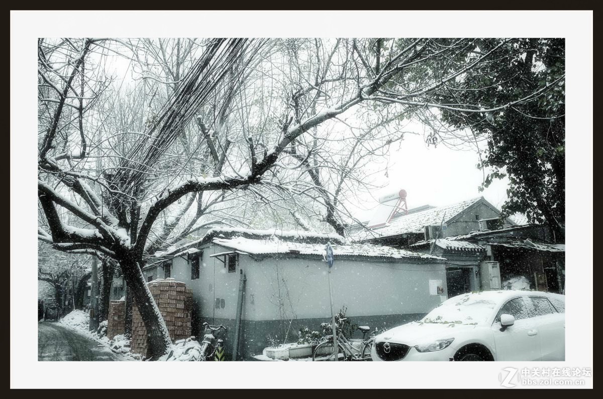 GRii：润雪笼京城