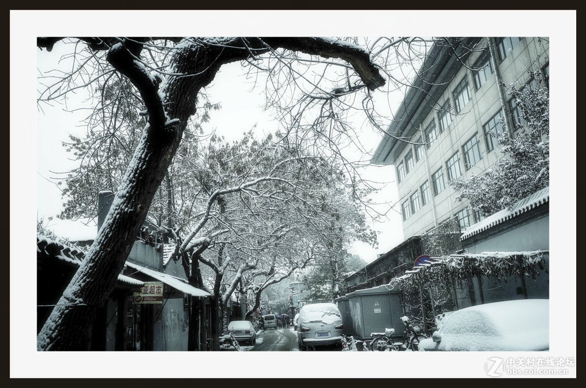 GRii：润雪笼京城