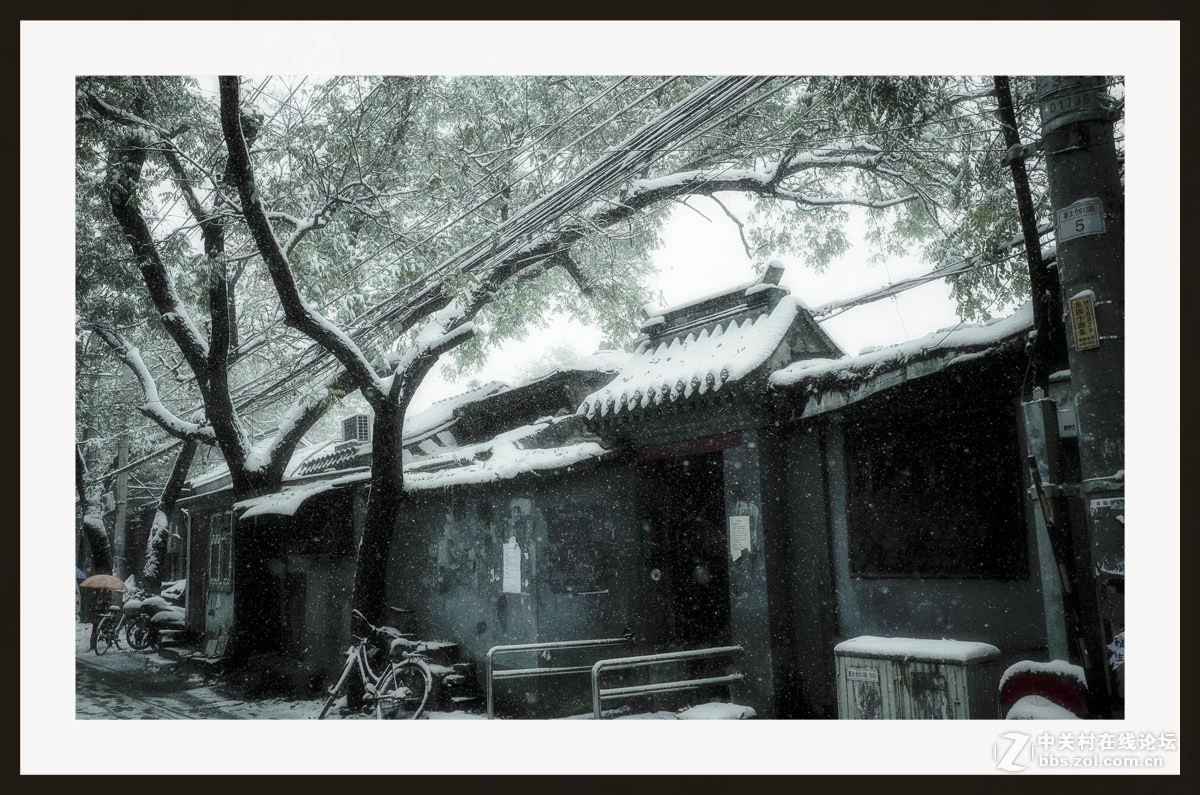 GRii：润雪笼京城