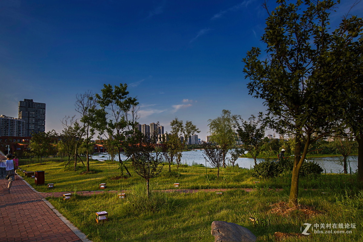 西湖文化公園風景3