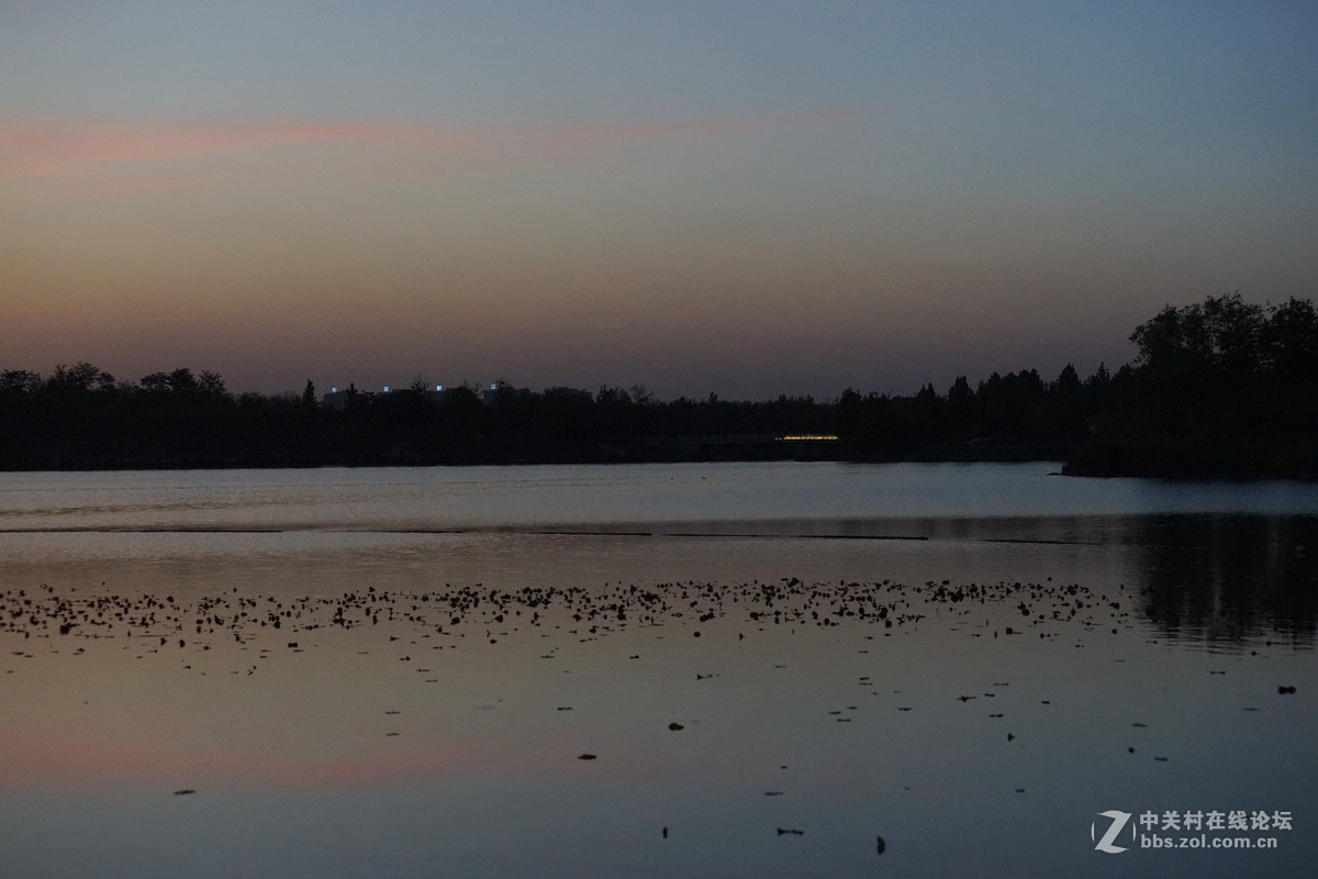 夜暮下的南海子效野公园