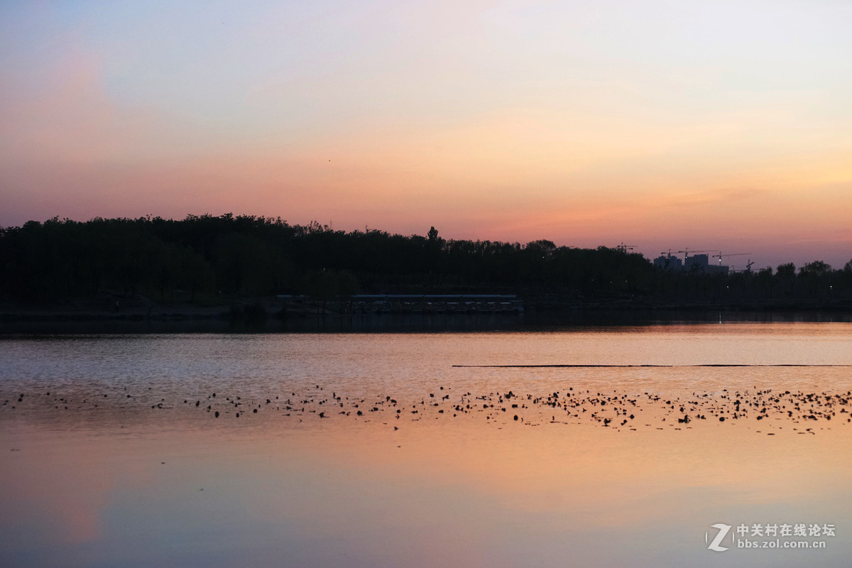 夜暮下的南海子效野公园