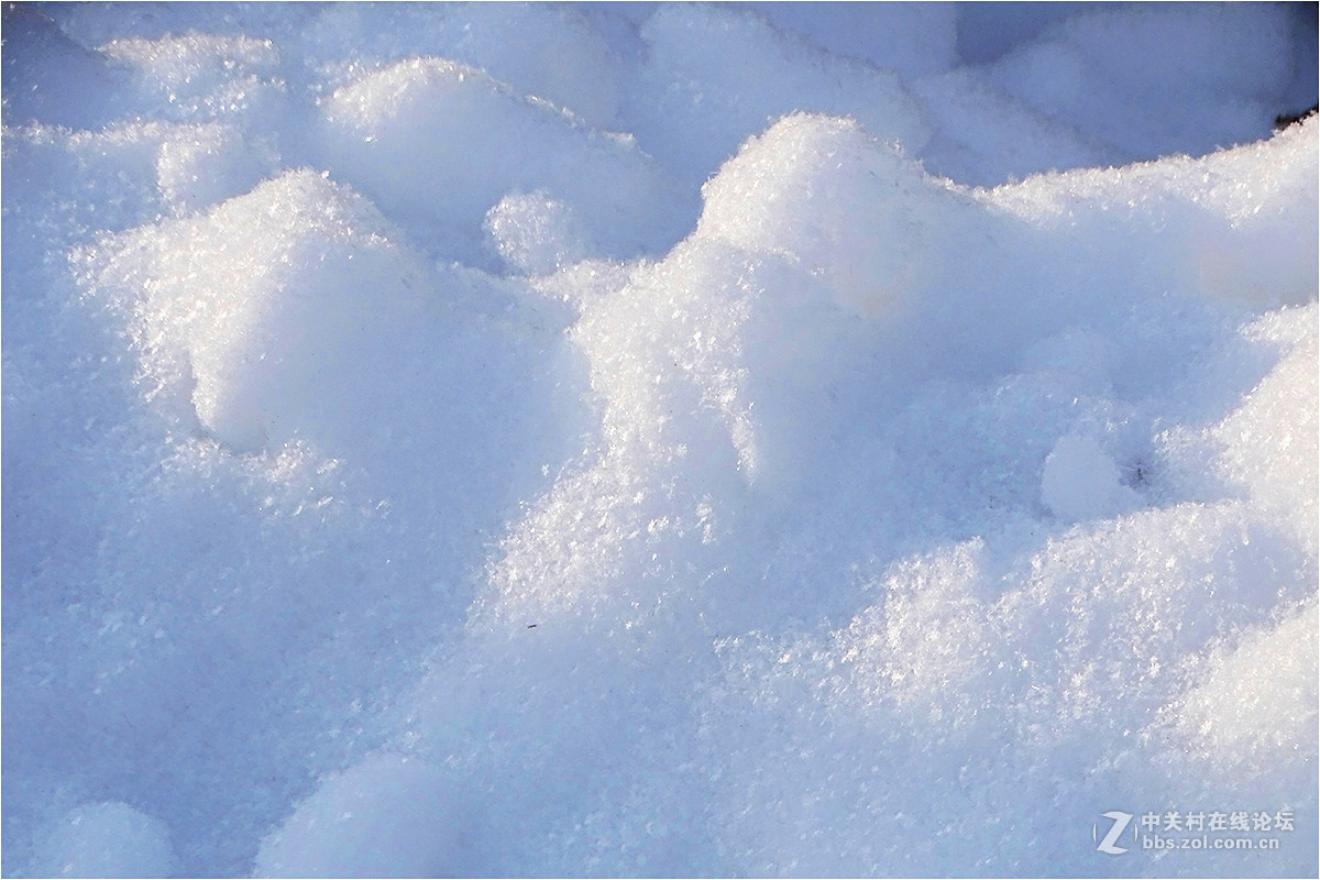 【 乌鲁木齐的冬天 （2016-2017） 】（9） ——洁白的雪