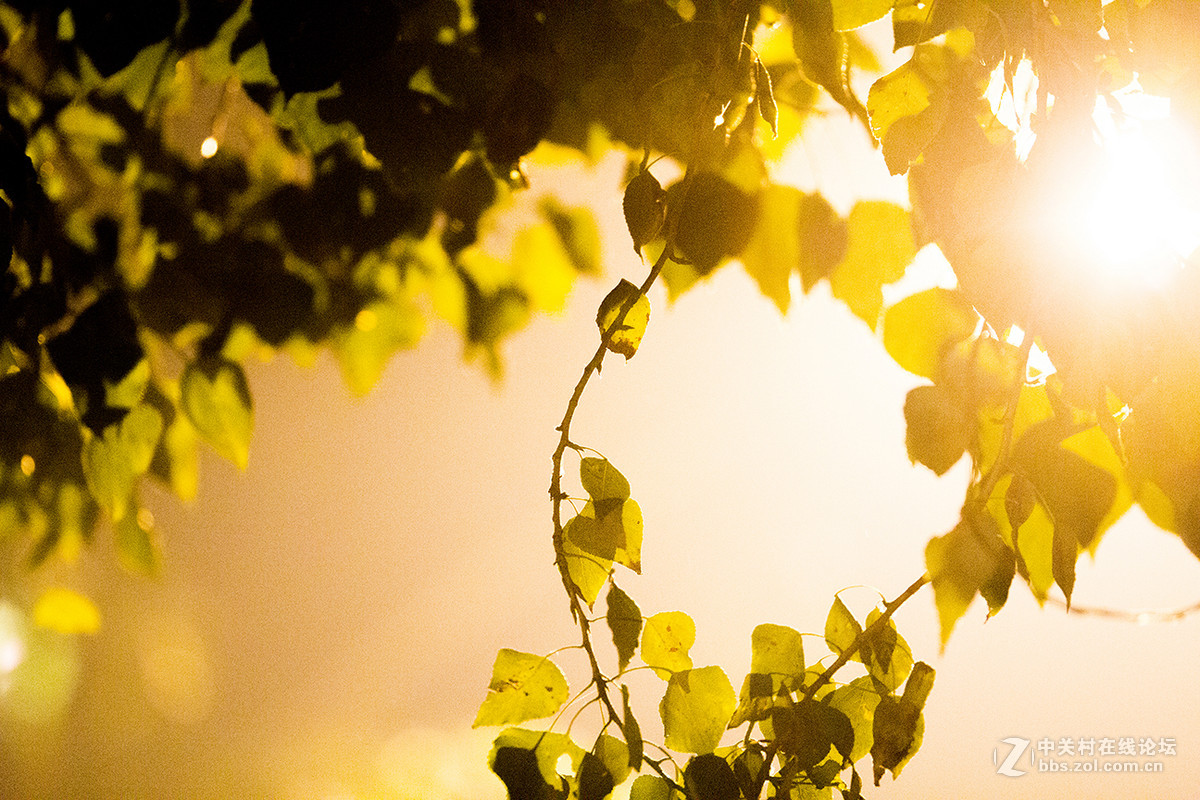 随拍 - 北京之夜