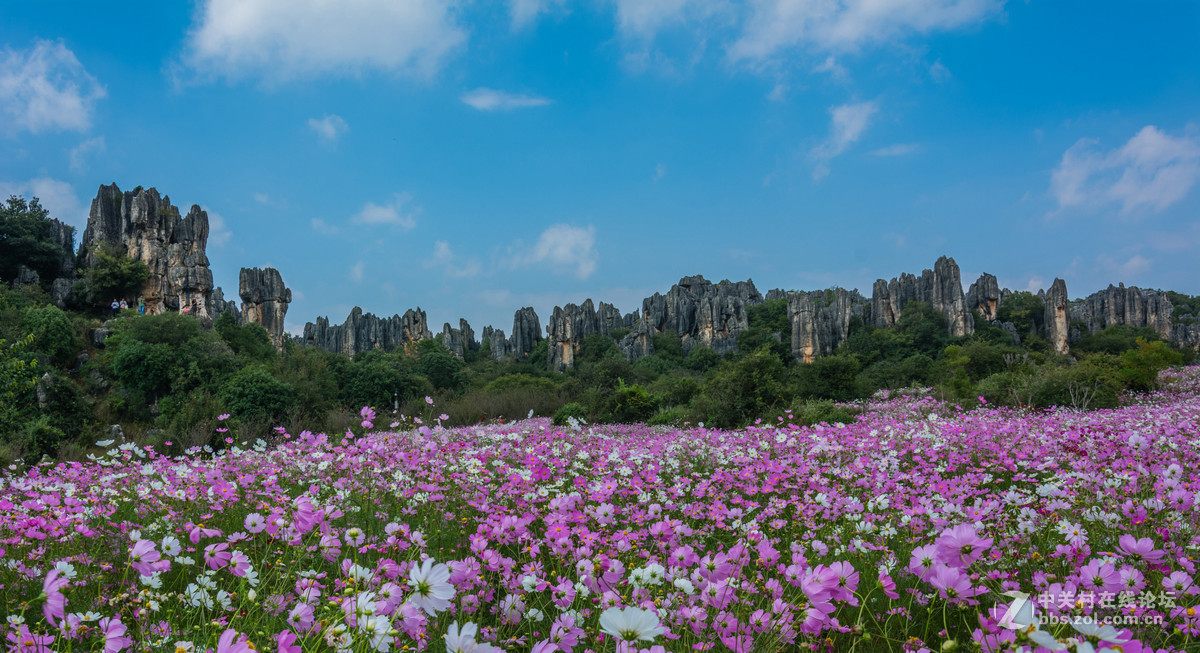 武汉花海石林风景区图片