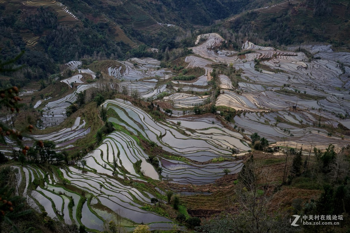 元阳梯田
