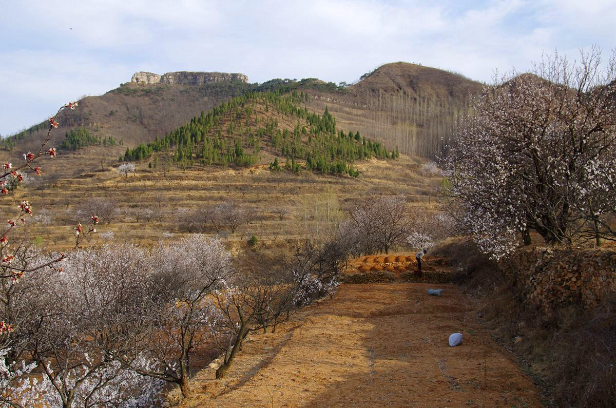 『杏花盛开的时候-3』123...12P