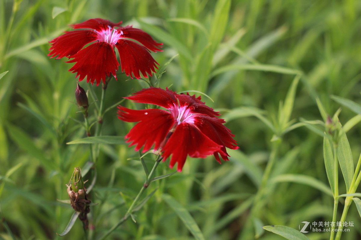 单反与手机拍照比较