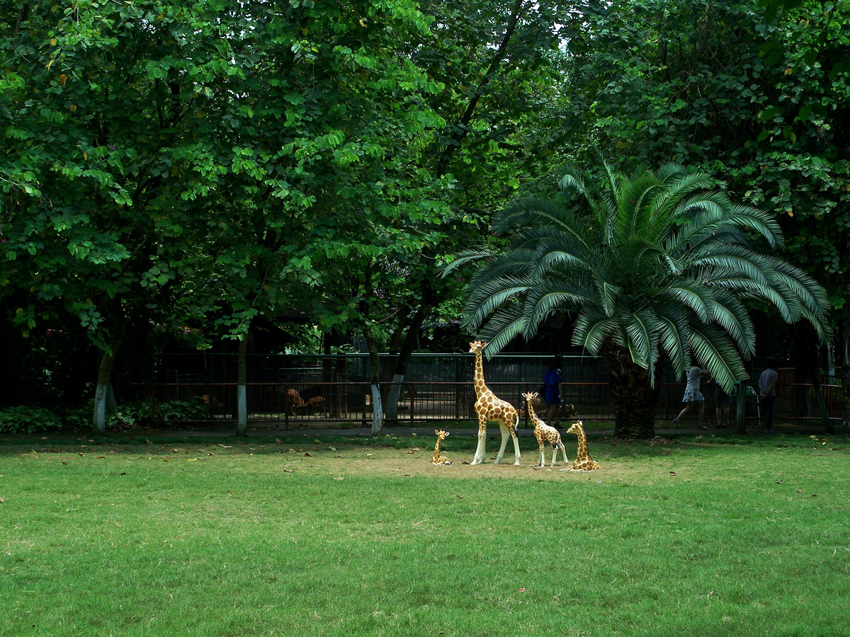 动物园随拍小景