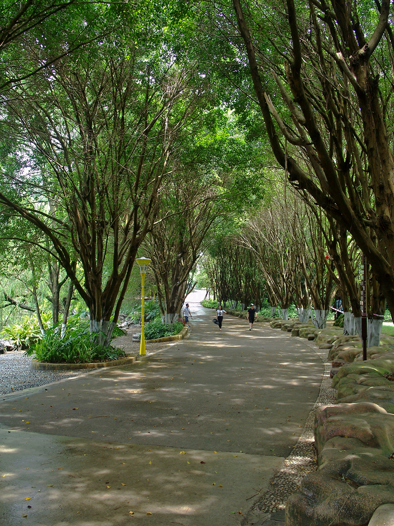 动物园随拍小景