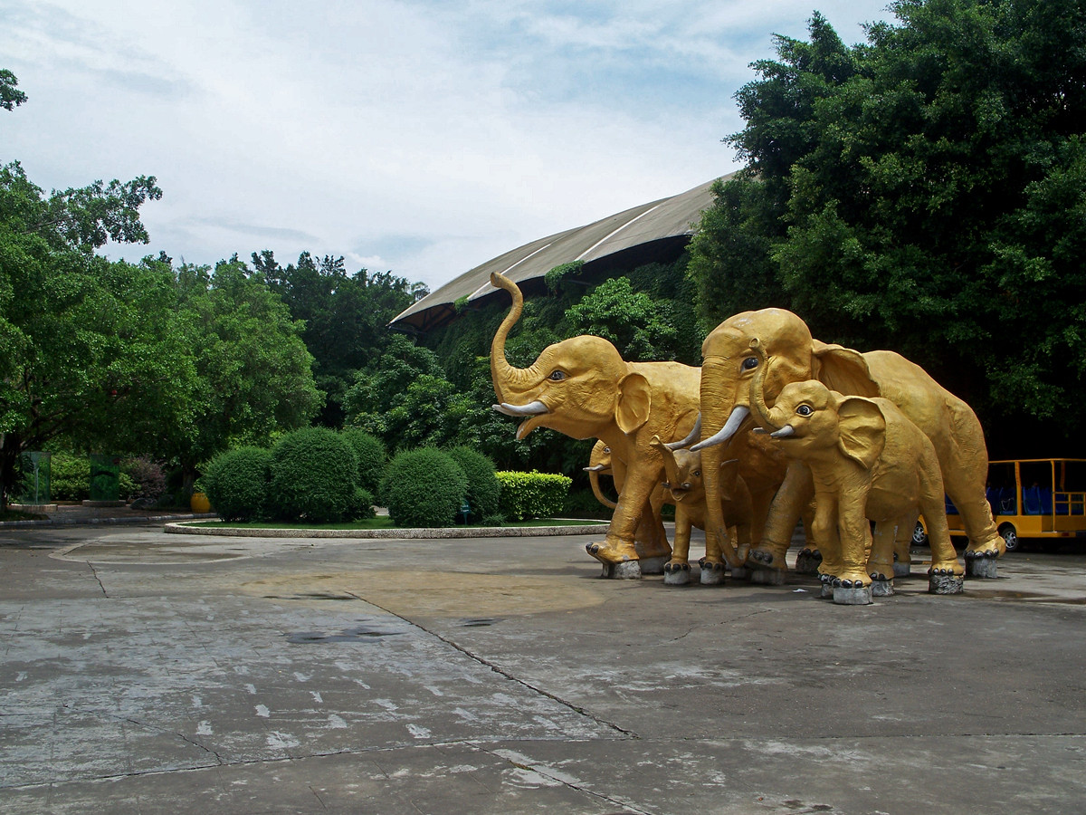 动物园随拍小景