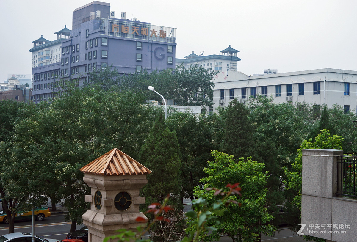 北京朝阳门家2楼花园随拍