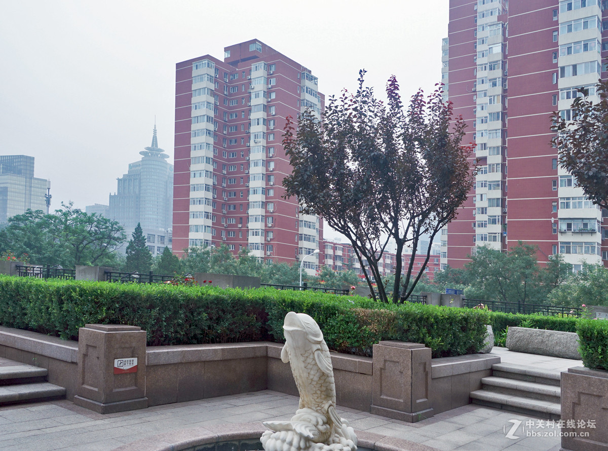 北京朝阳门家2楼花园随拍