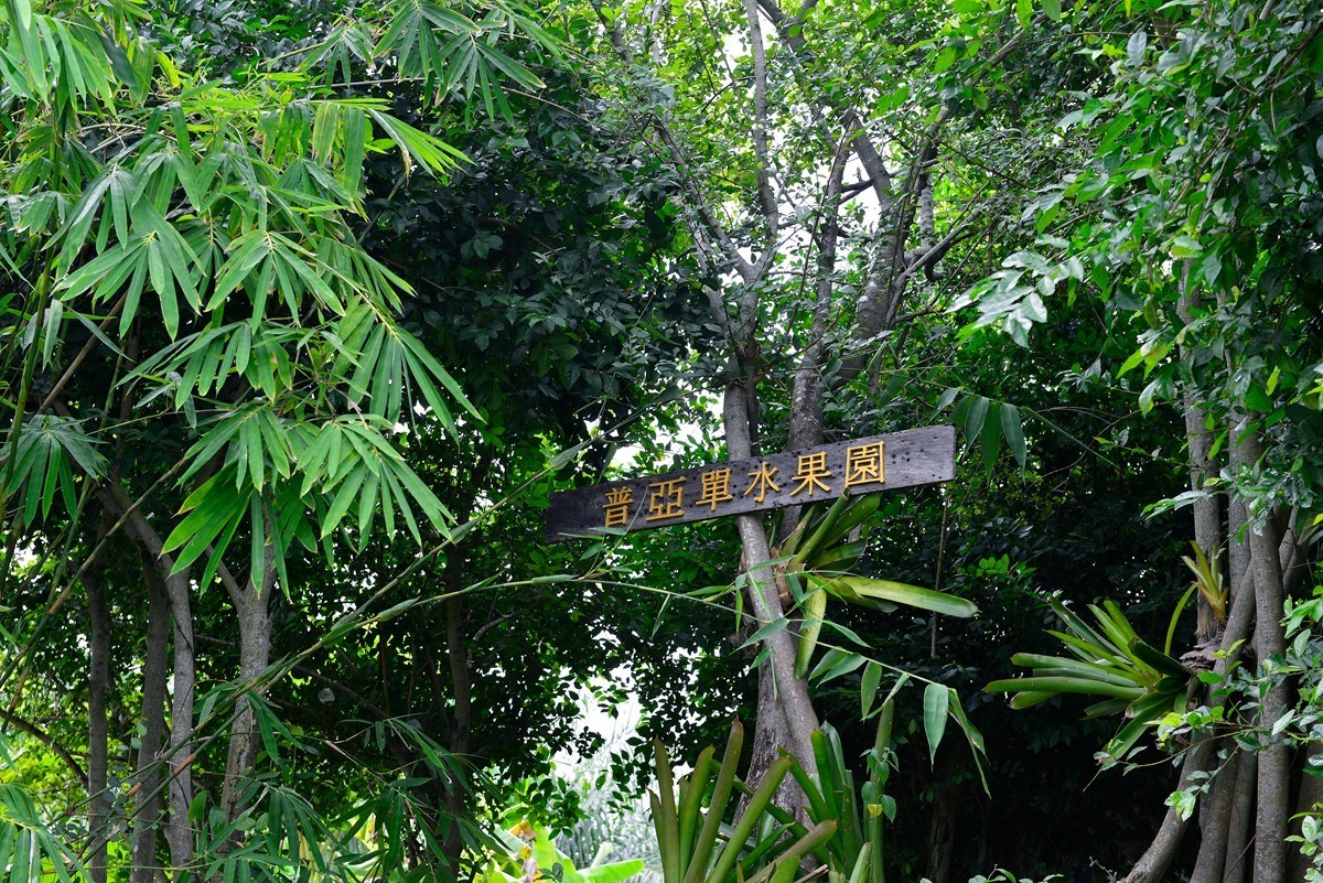 普亚单水果园