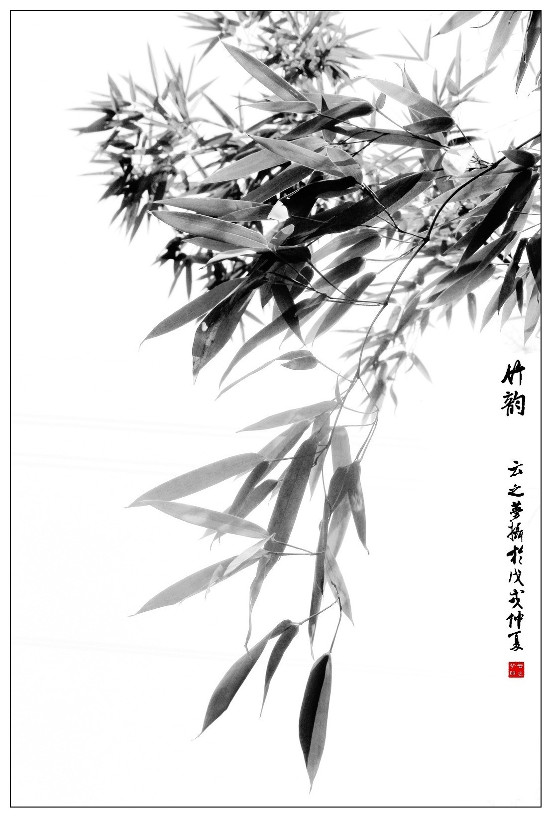 竹韵