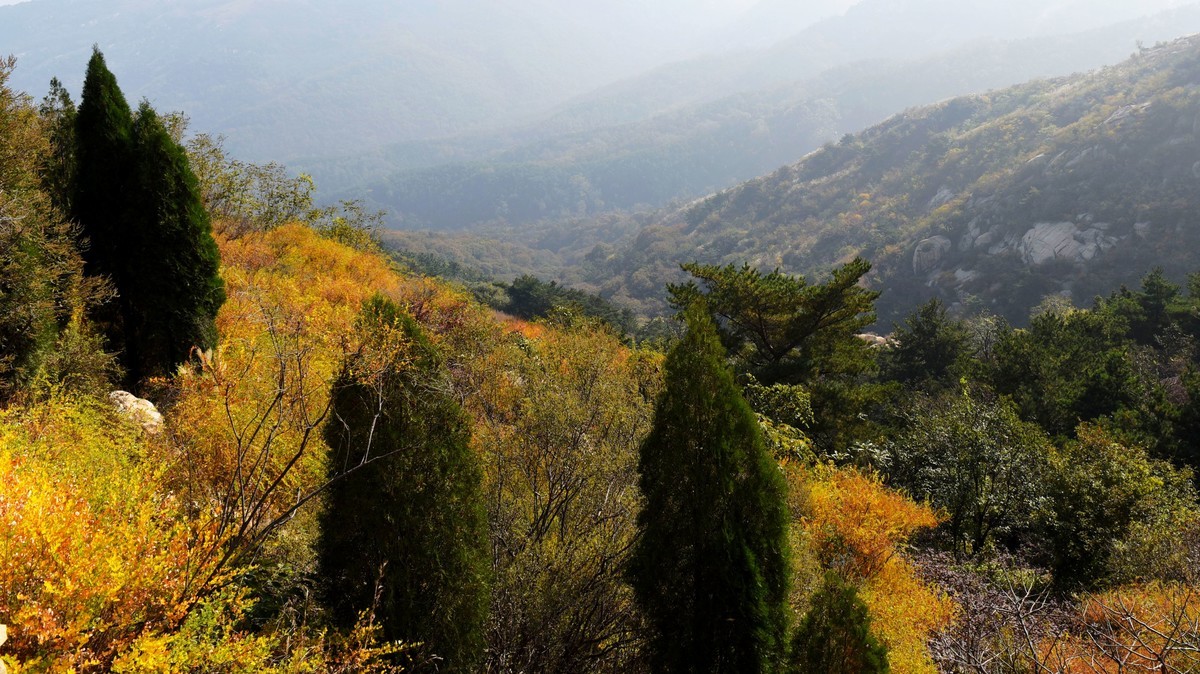 【2017】  山东莲花山（莱芜）景区