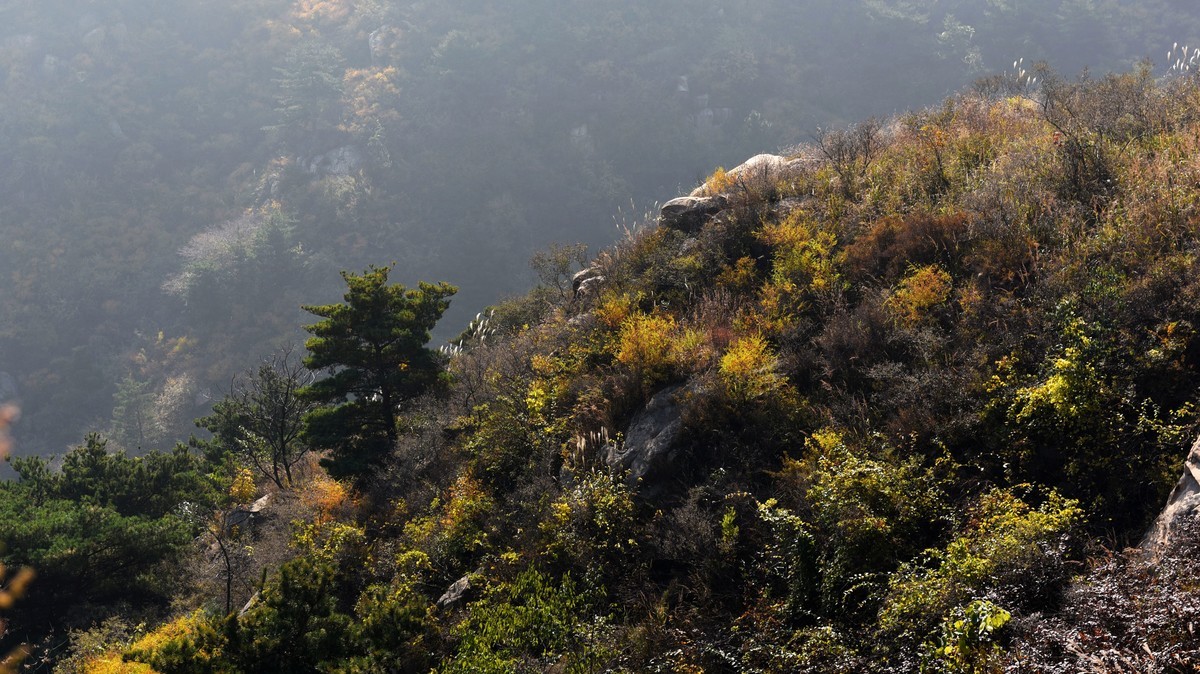 【2017】  山东莲花山（莱芜）景区