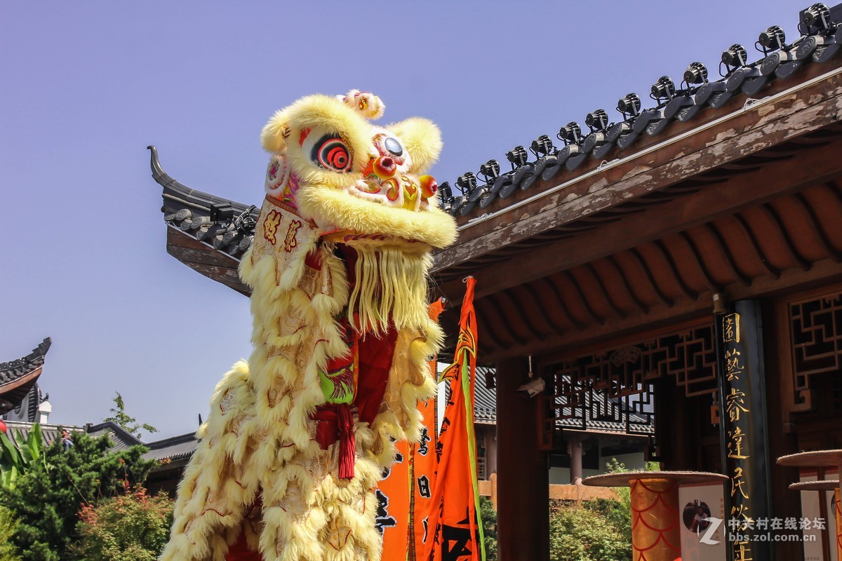 舞狮-中关村在线摄影论坛