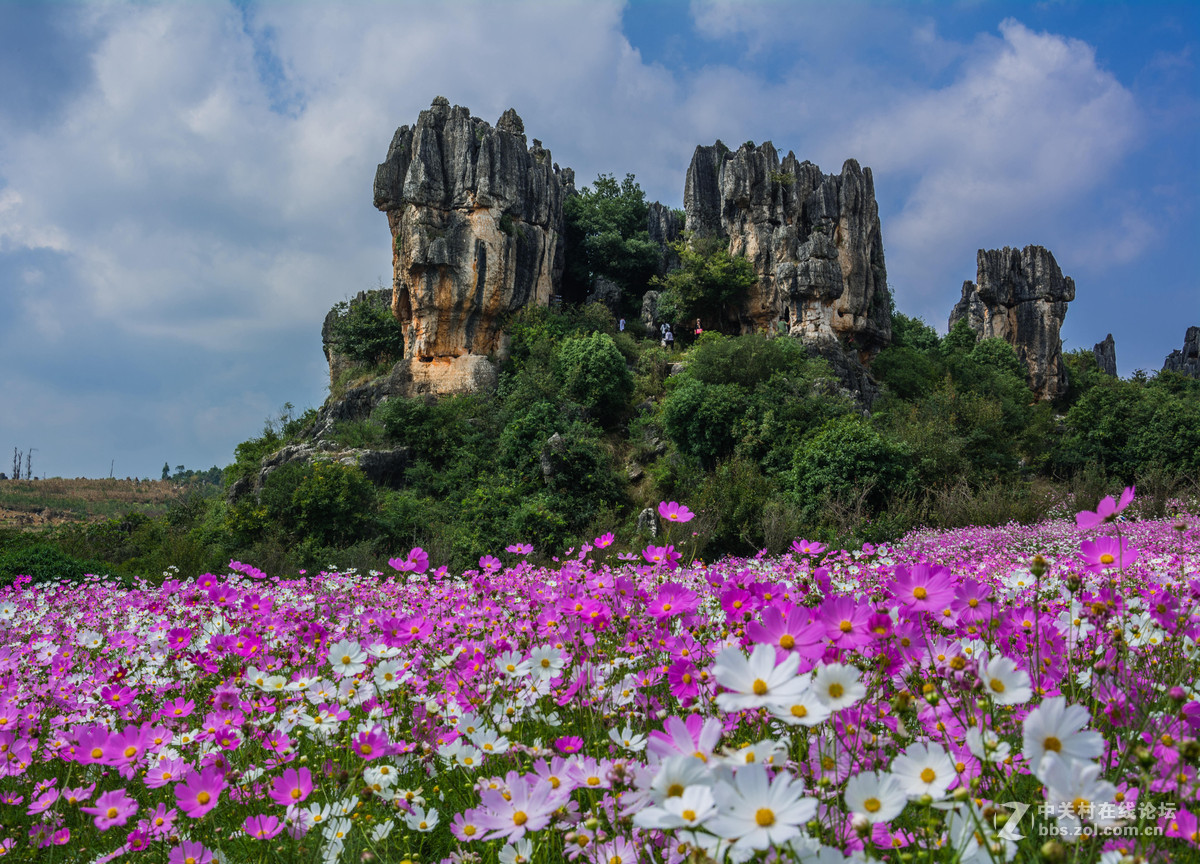 武汉花海石林风景区图片