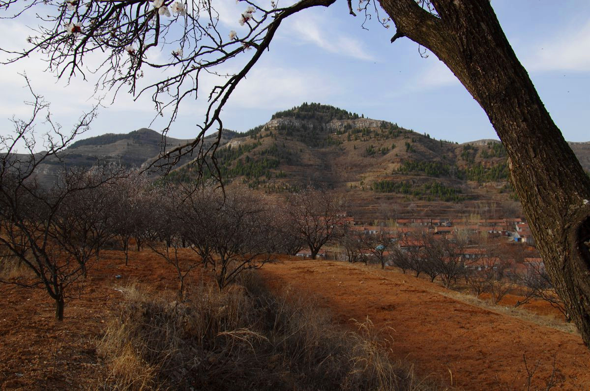 『杏花盛开的时候-3』123...12P