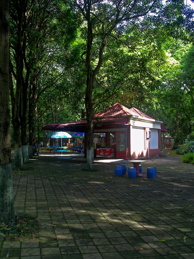 动物园随拍小景