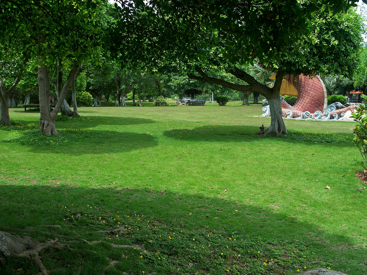 动物园随拍小景