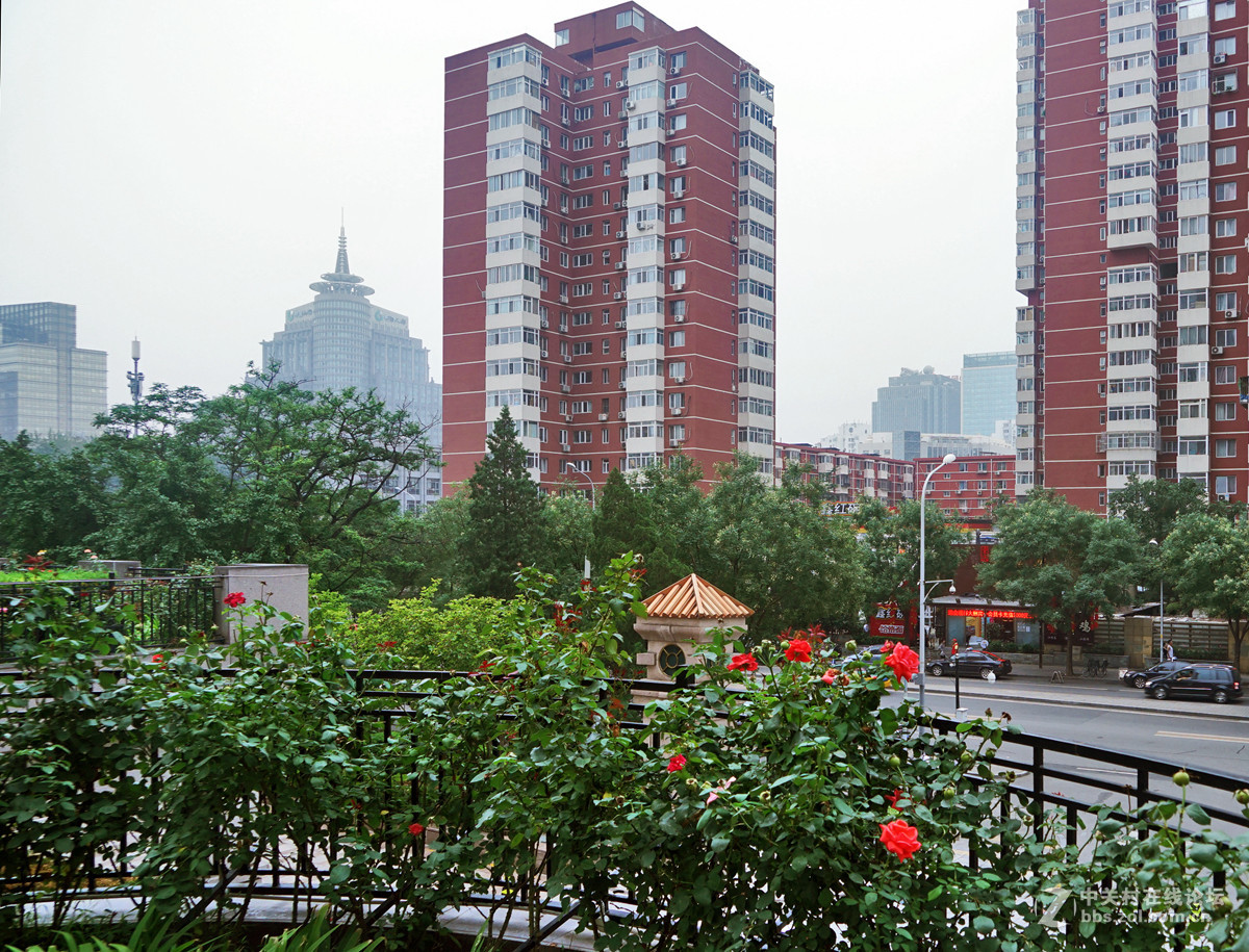 北京朝阳门家2楼花园随拍