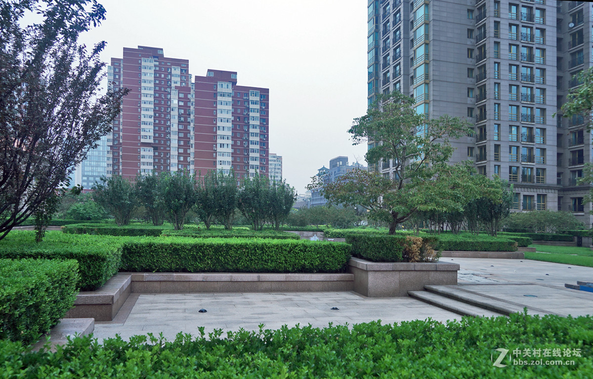 北京朝阳门家2楼花园随拍