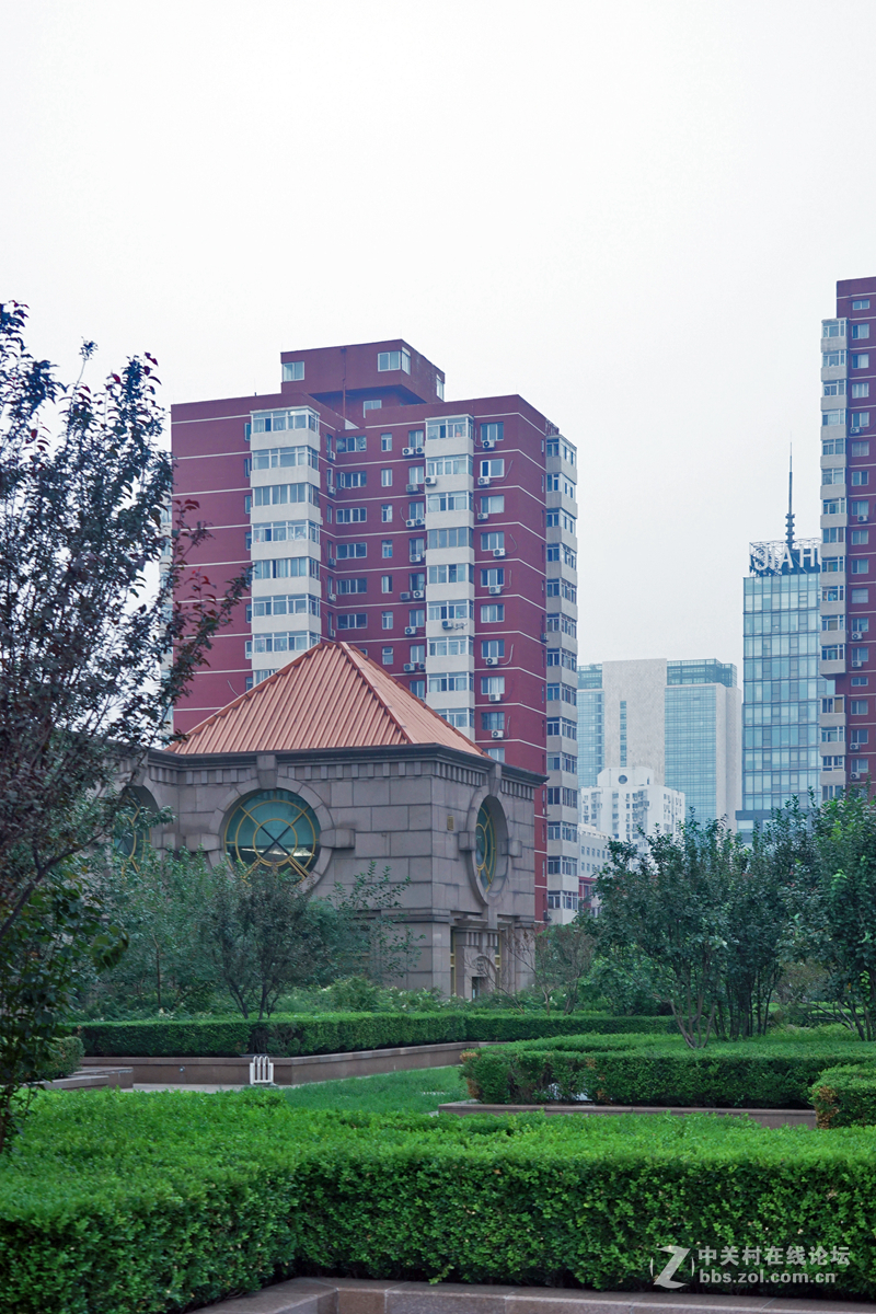 北京朝阳门家2楼花园随拍