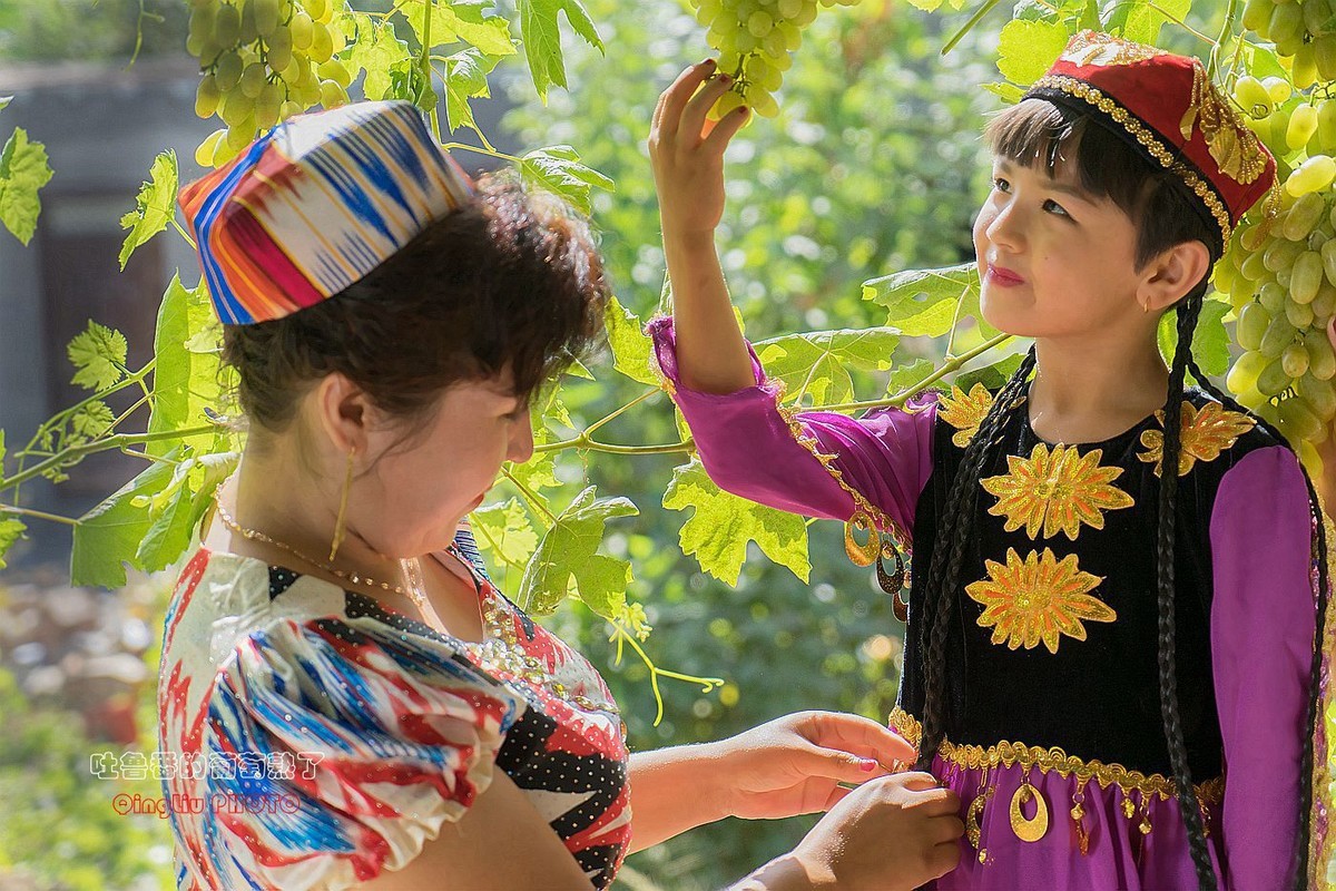 新疆是个好地方十吐鲁番的葡萄熟了