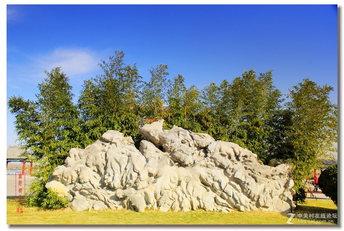 #佳能月赛-一叶知秋#微山湖湿地风景