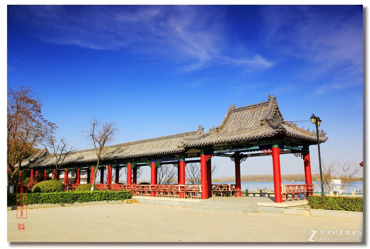 #佳能月赛-一叶知秋#微山湖湿地风景