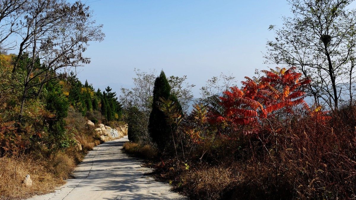 2017山東蓮花山萊蕪景區