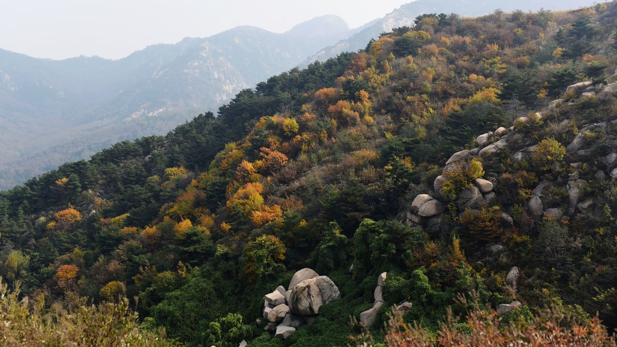 【2017】  山东莲花山（莱芜）景区