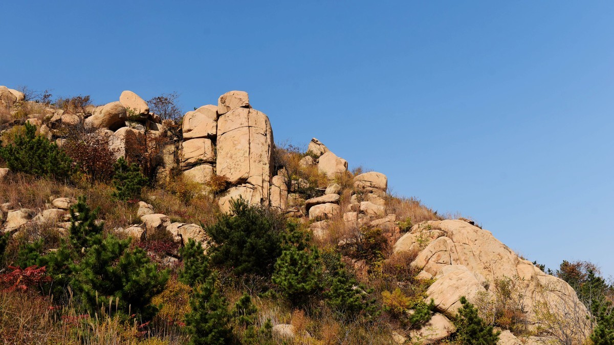 【2017】  山东莲花山（莱芜）景区