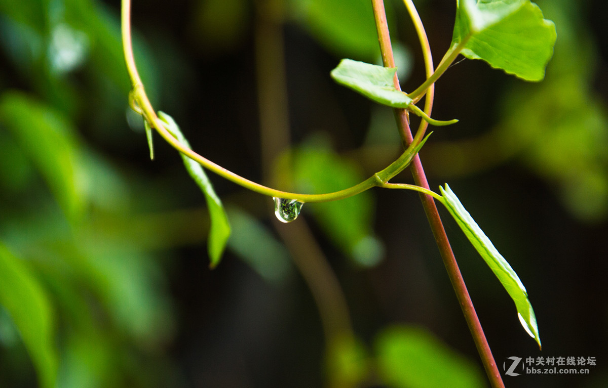 影  ·物 语 —— 滴 嗒 （ 十 三 ）
