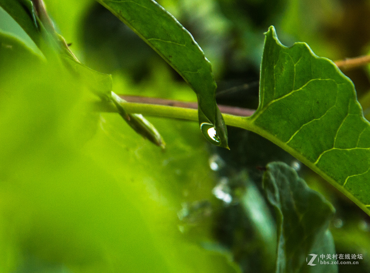 影  ·物 语 —— 滴 嗒 （ 十 三 ）