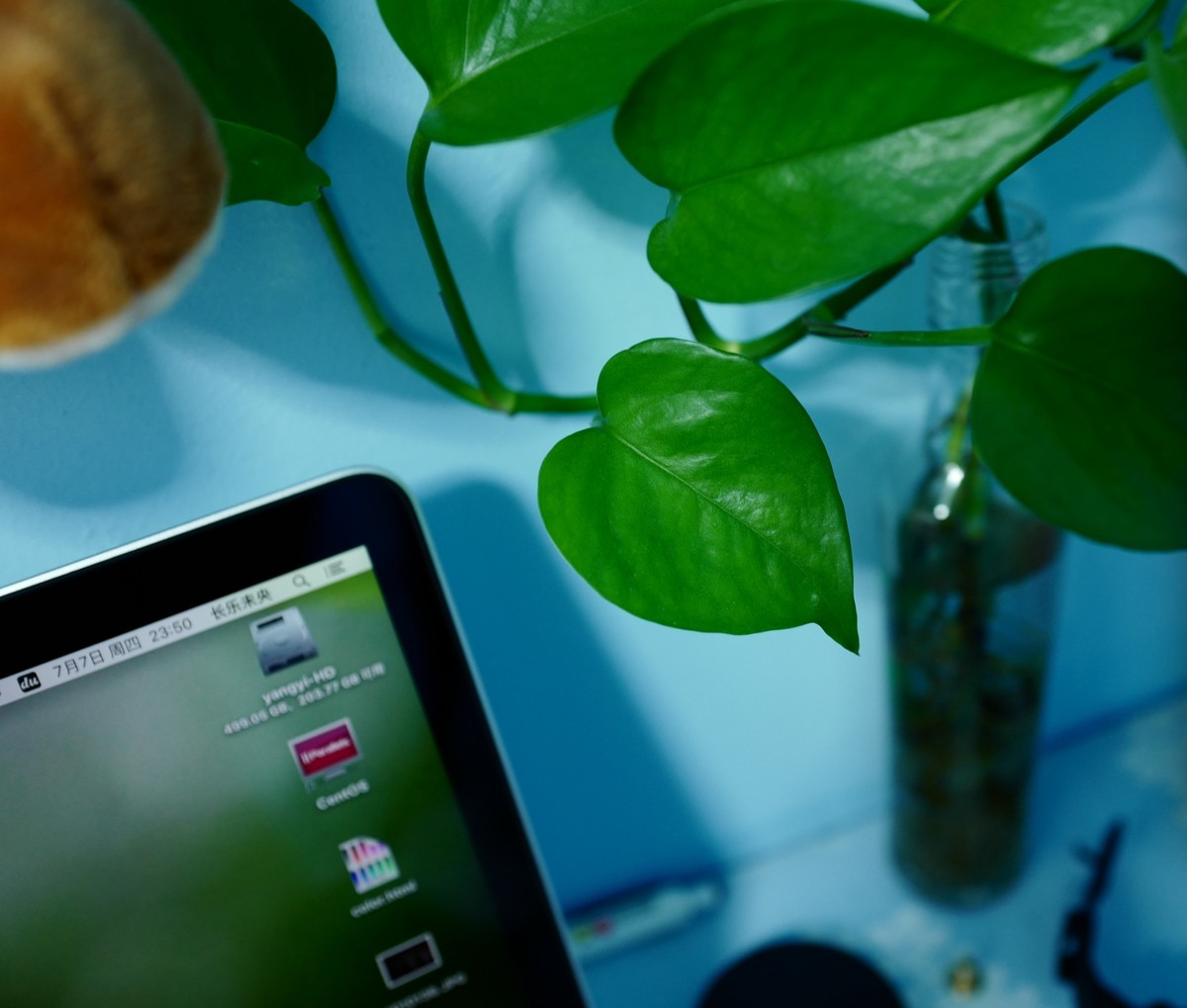 Q的裁剪图，原图，油润了