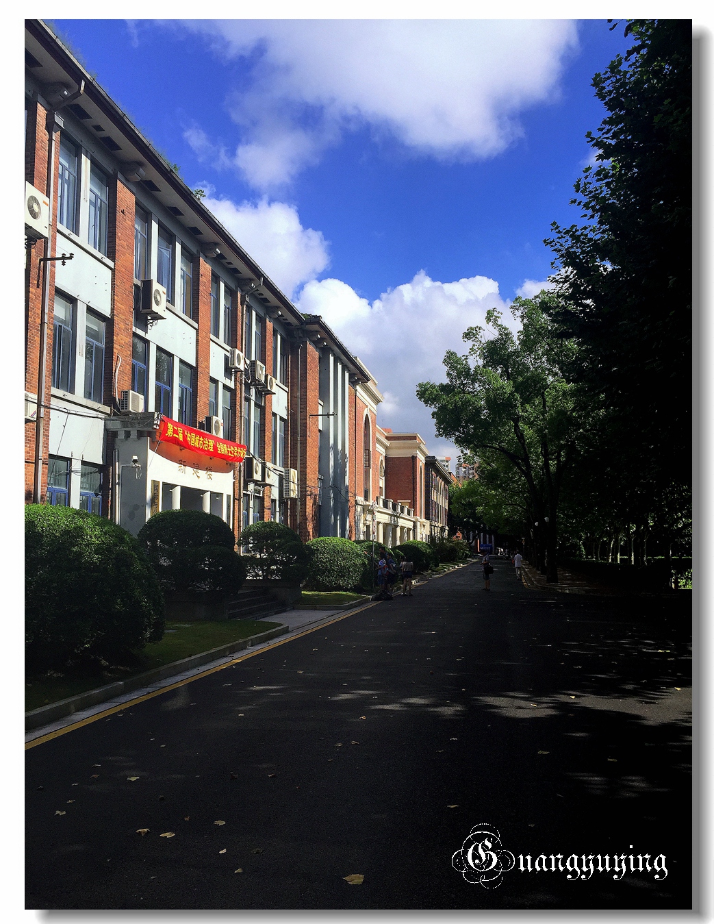 刚拍的一组单位院内的景色